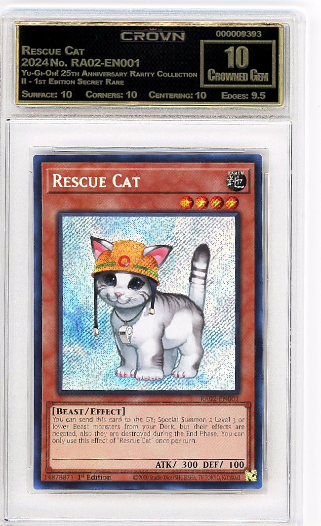 Rescue Cat