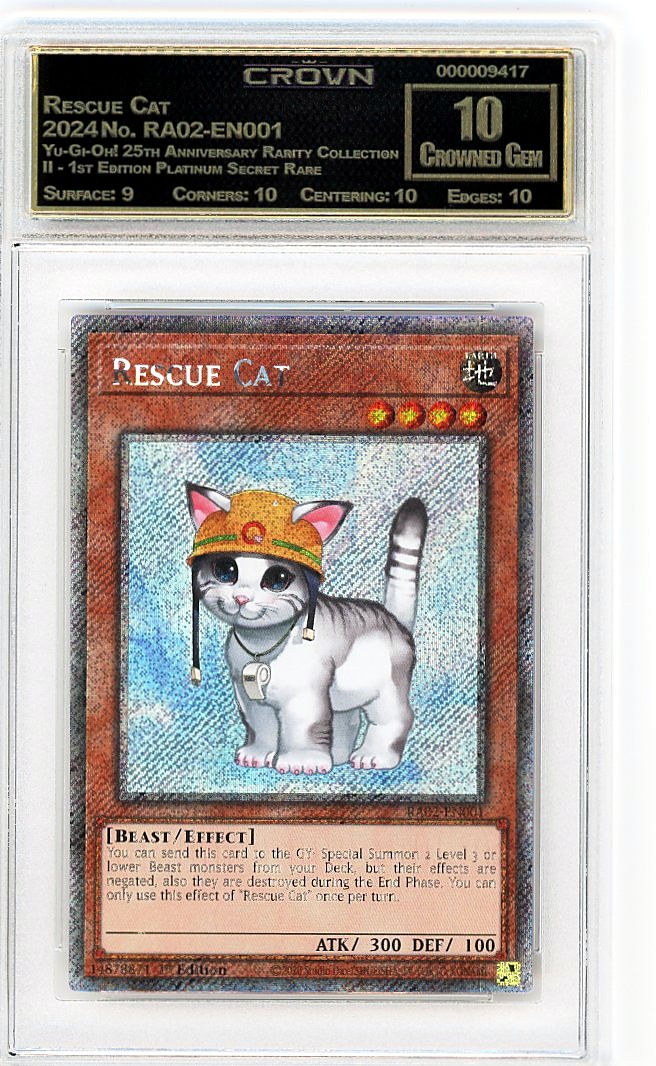 Rescue Cat