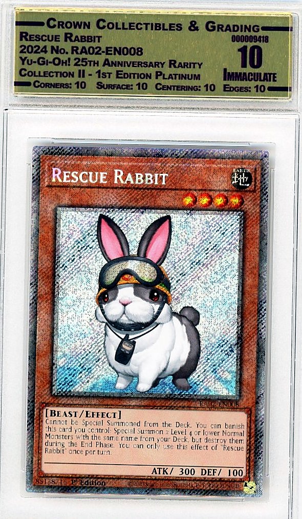 Rescue Rabbit