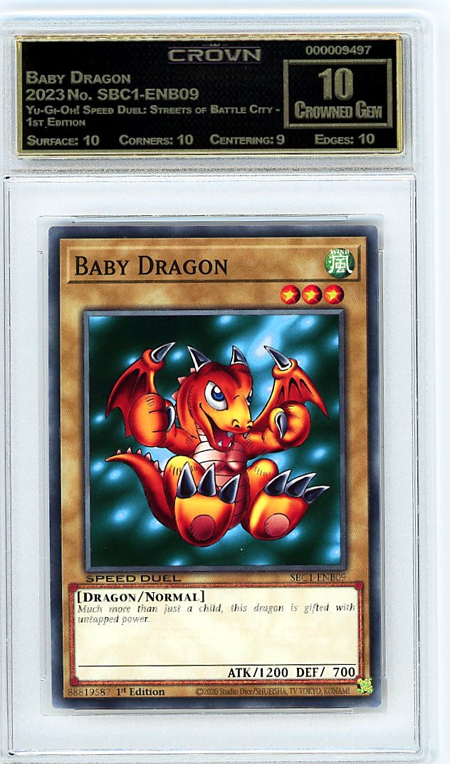 Baby Dragon