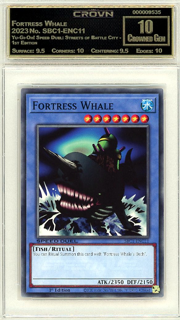 Fortress Whale