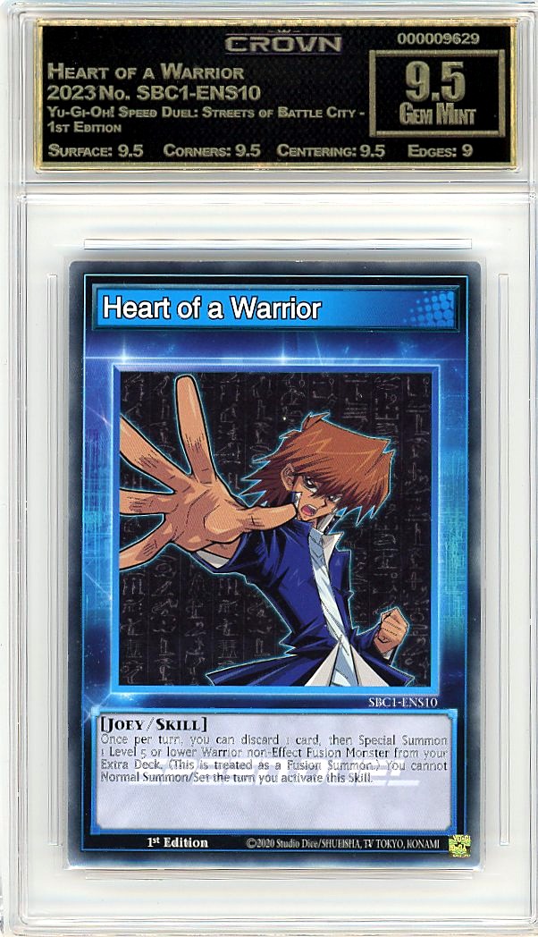 Heart of a Warrior