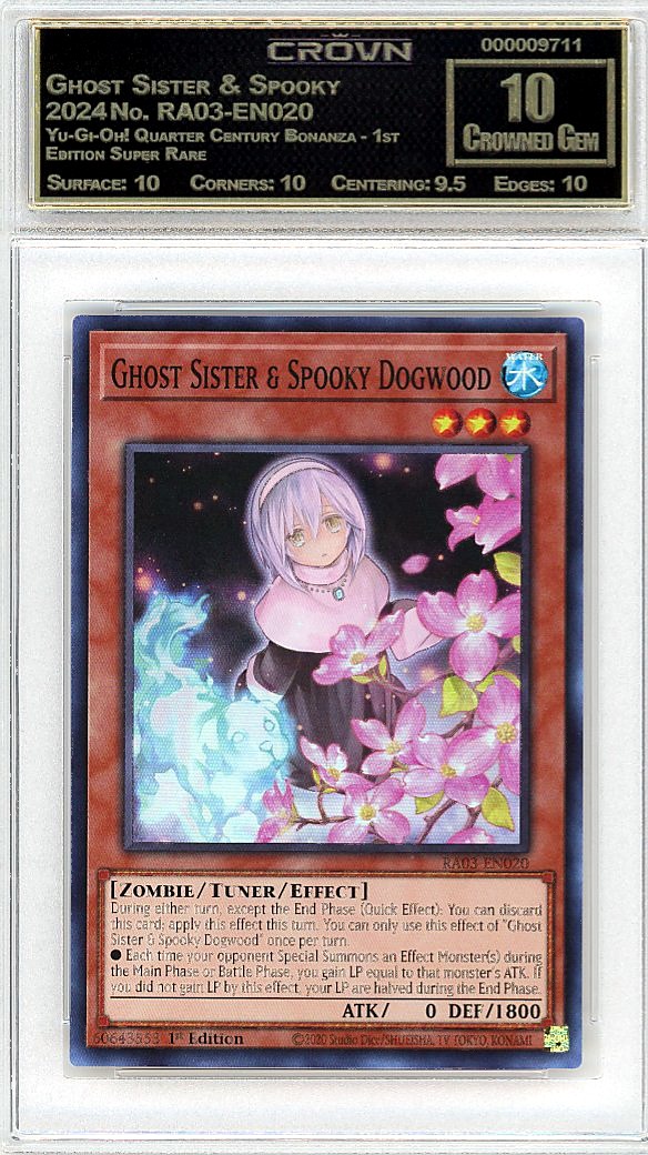 Ghost Sister & Spooky Dogw…