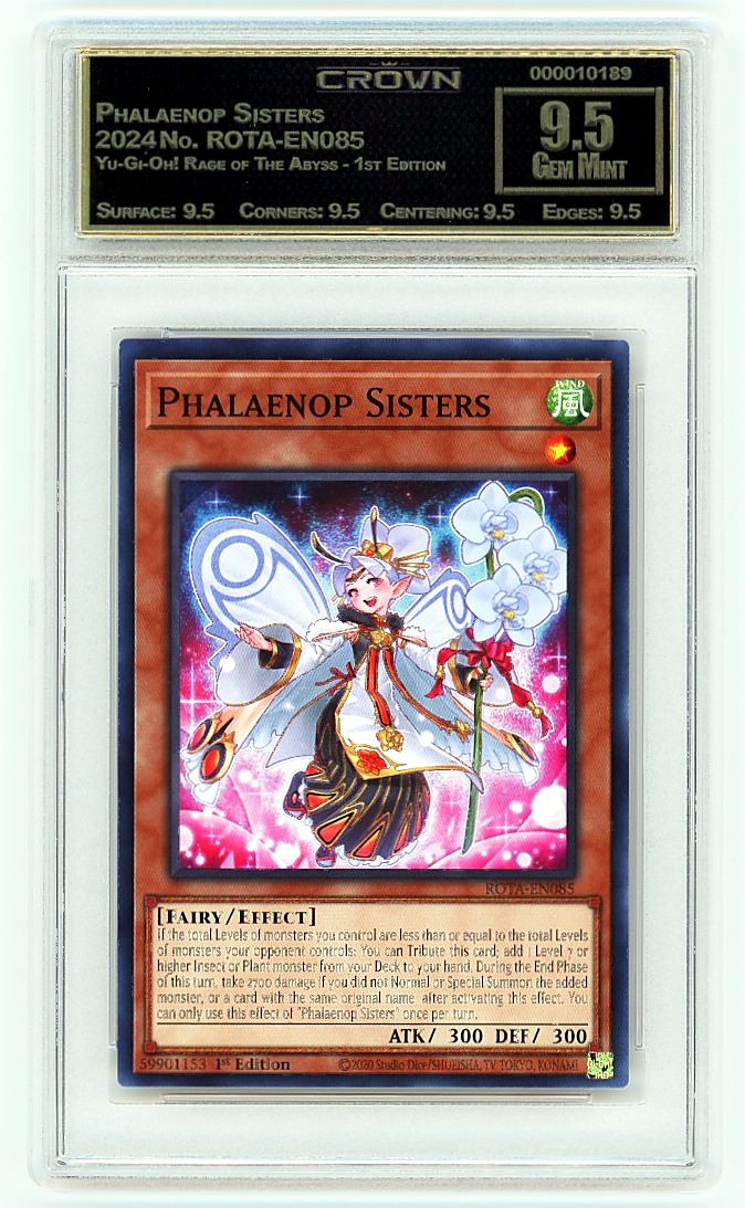 Phalaenop Sisters