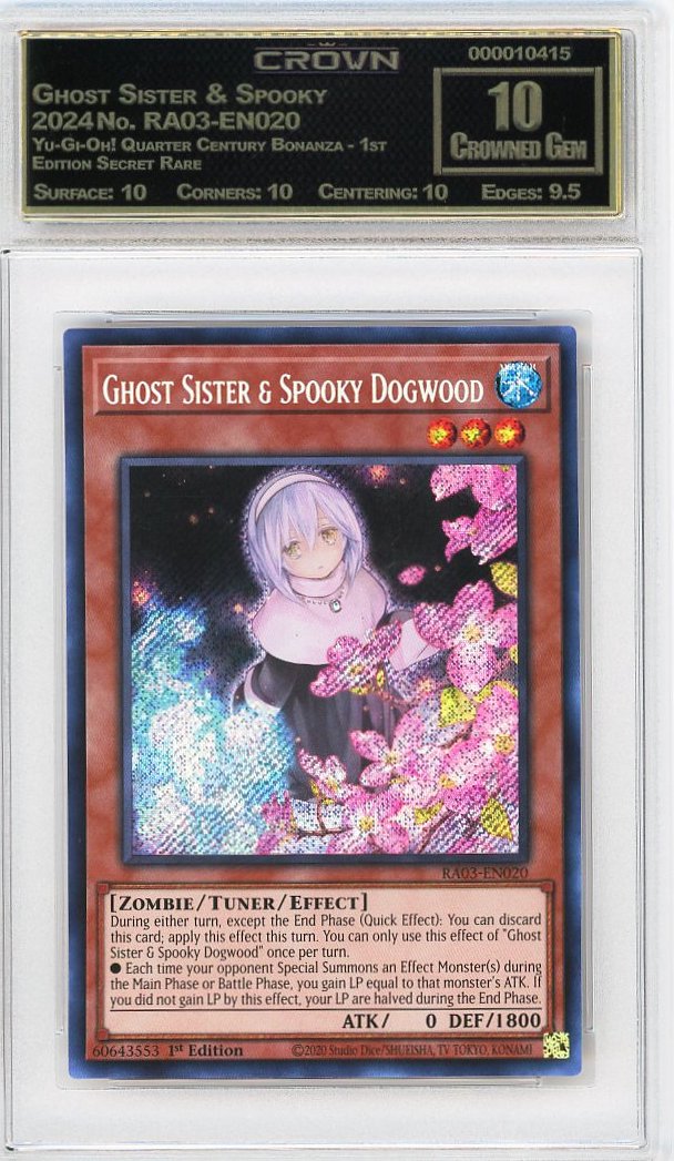 Ghost Sister & Spooky Dogw…