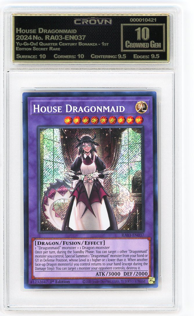 House Dragonmaid