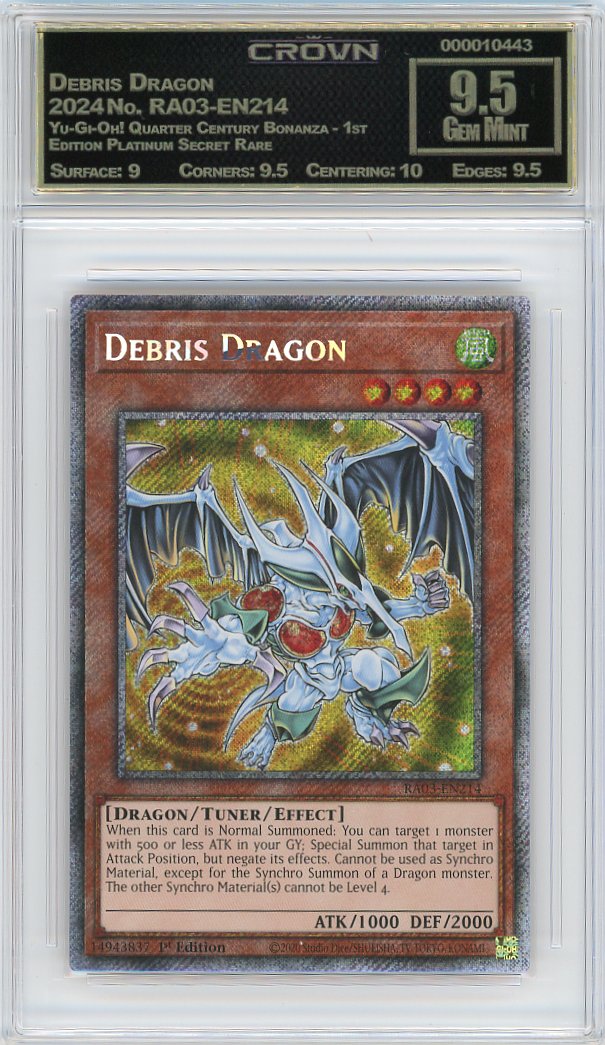 Debris Dragon