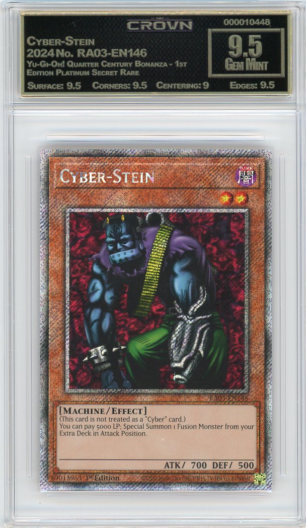 Cyber-Stein