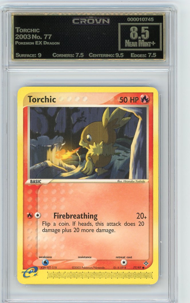 Torchic