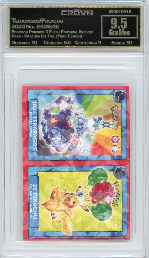Terapagos/Pikachu