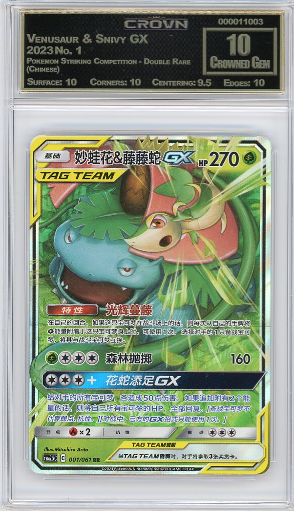 Venusaur & Snivy GX