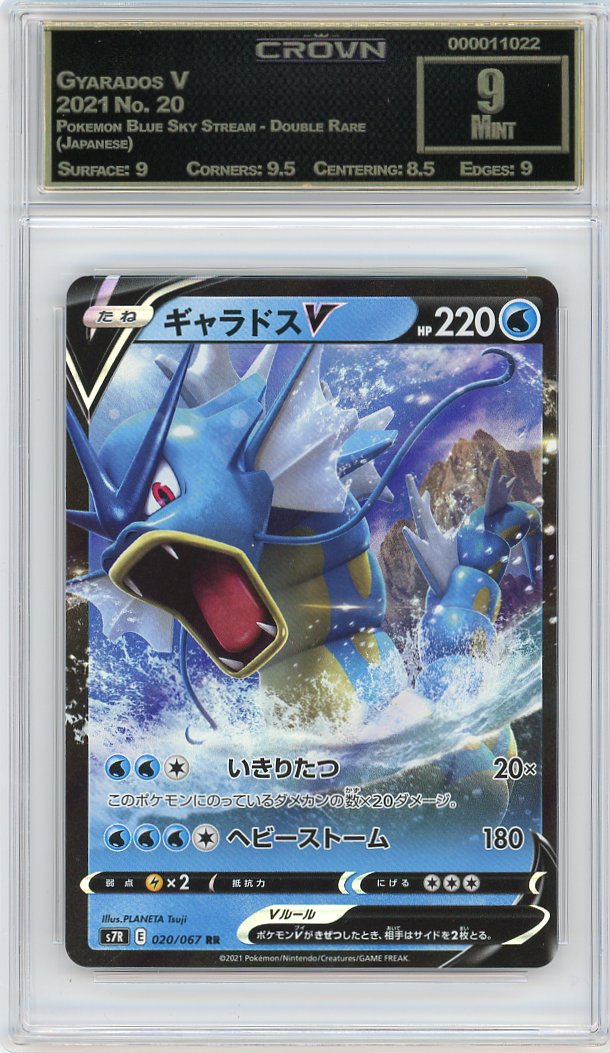 Gyarados V