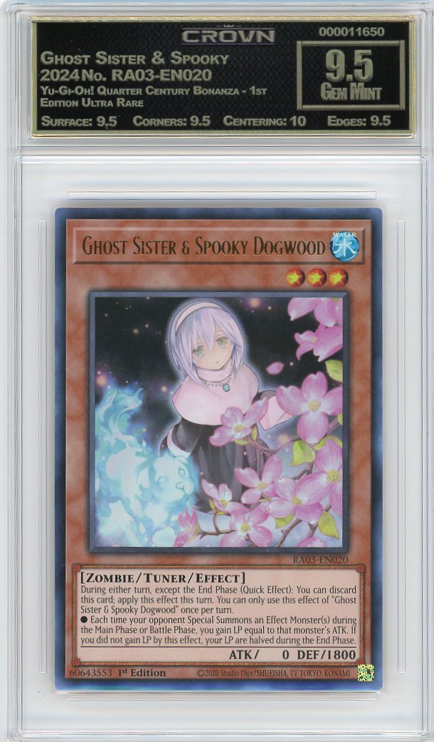Ghost Sister & Spooky Dogw…
