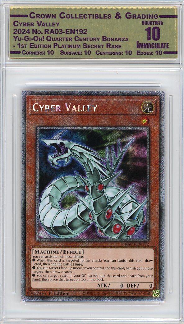Cyber Valley