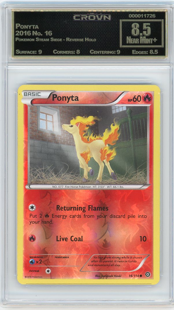 Ponyta