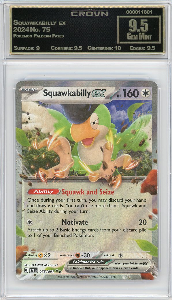 Squawkabilly ex
