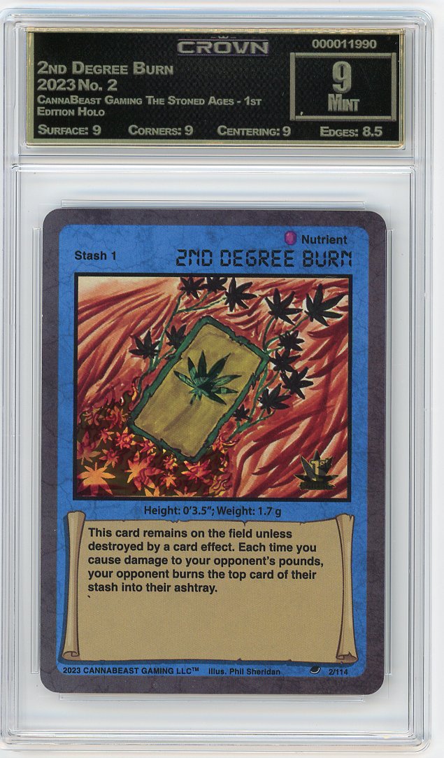 2nd Degree Burn
