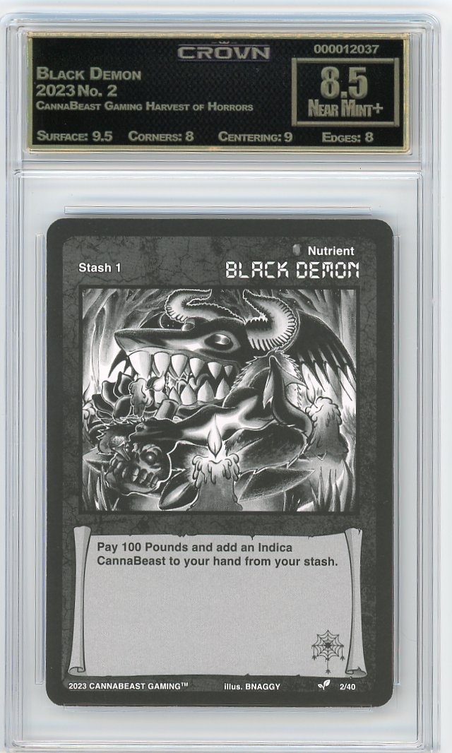 Black Demon