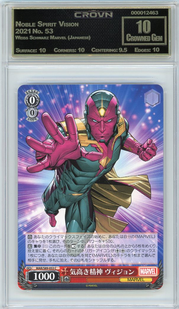 Noble Spirit Vision