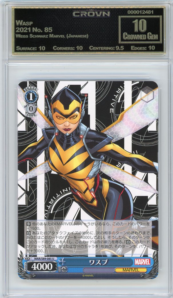 Wasp