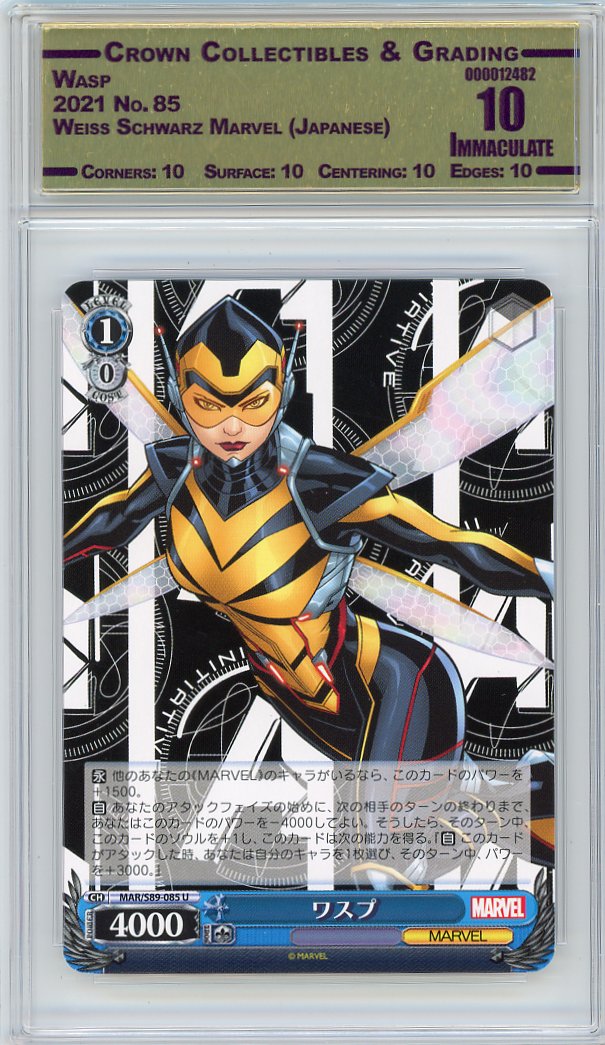 Wasp