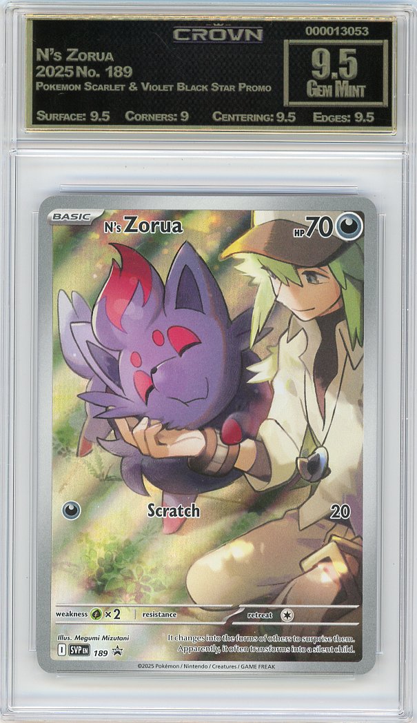 N's Zorua