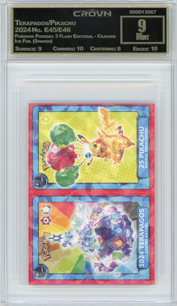 Terapagos/Pikachu