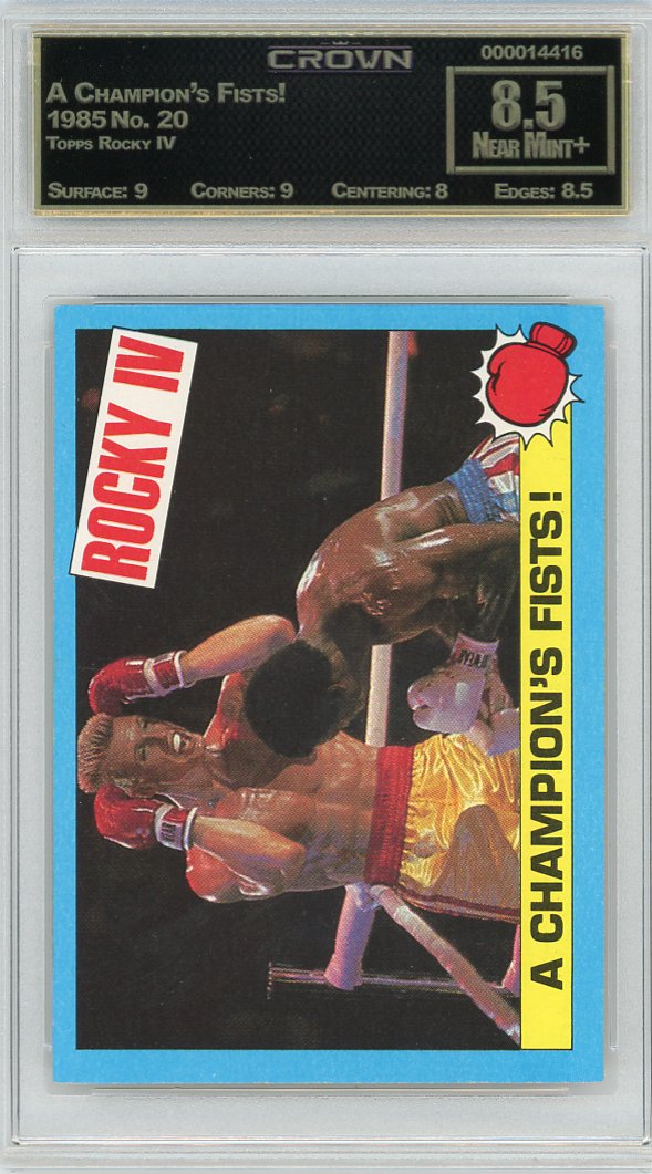 A Champion's Fists!
