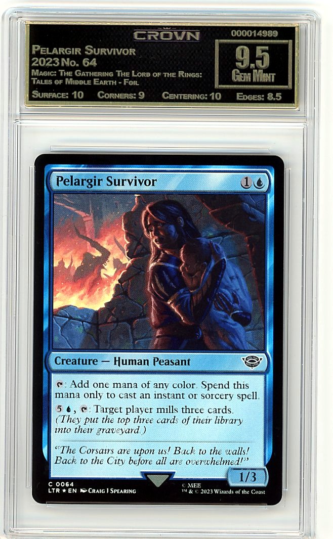 Pelargir Survivor