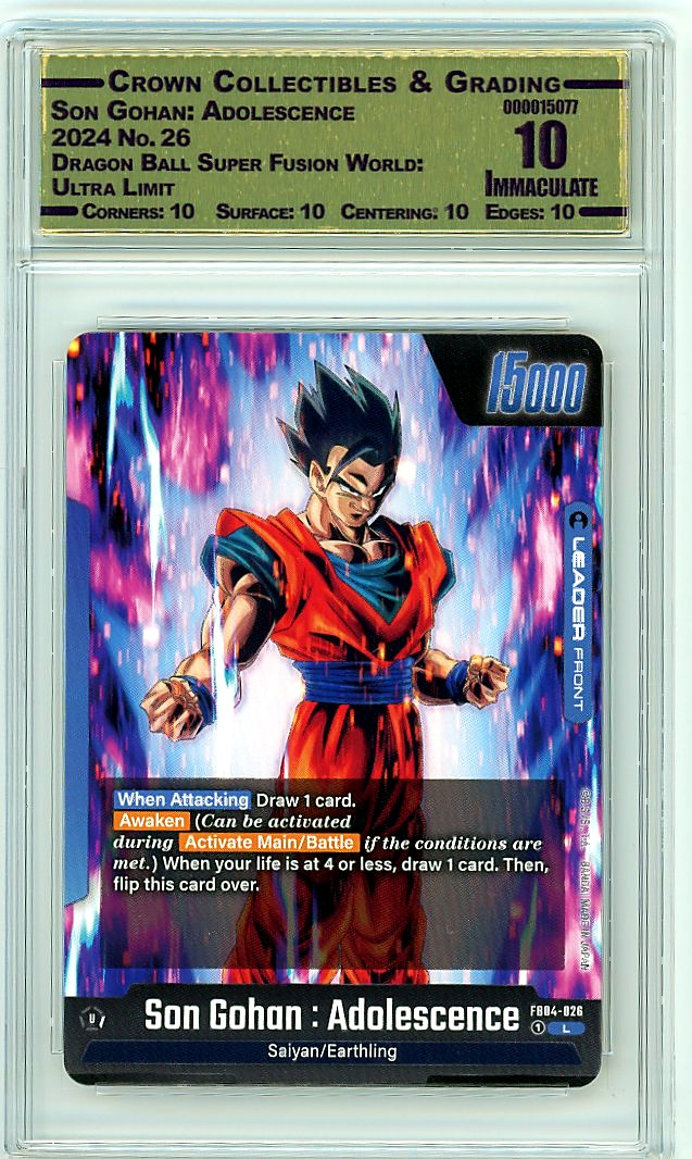 Son Gohan: Adolescence