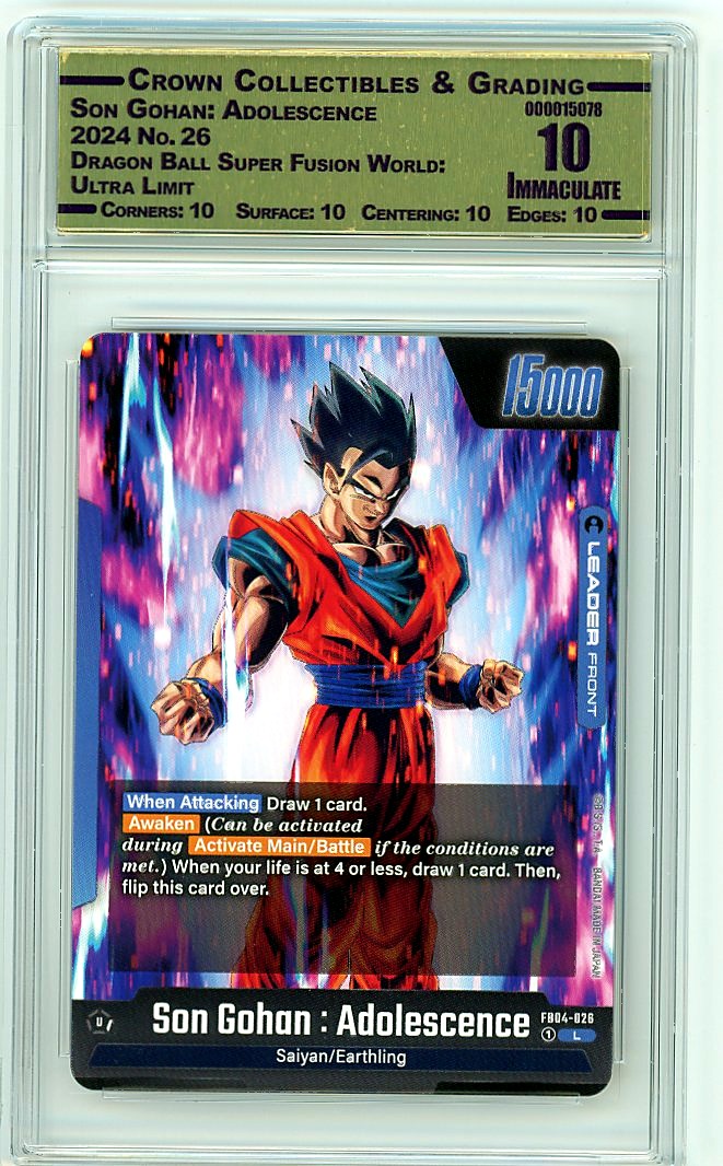 Son Gohan: Adolescence