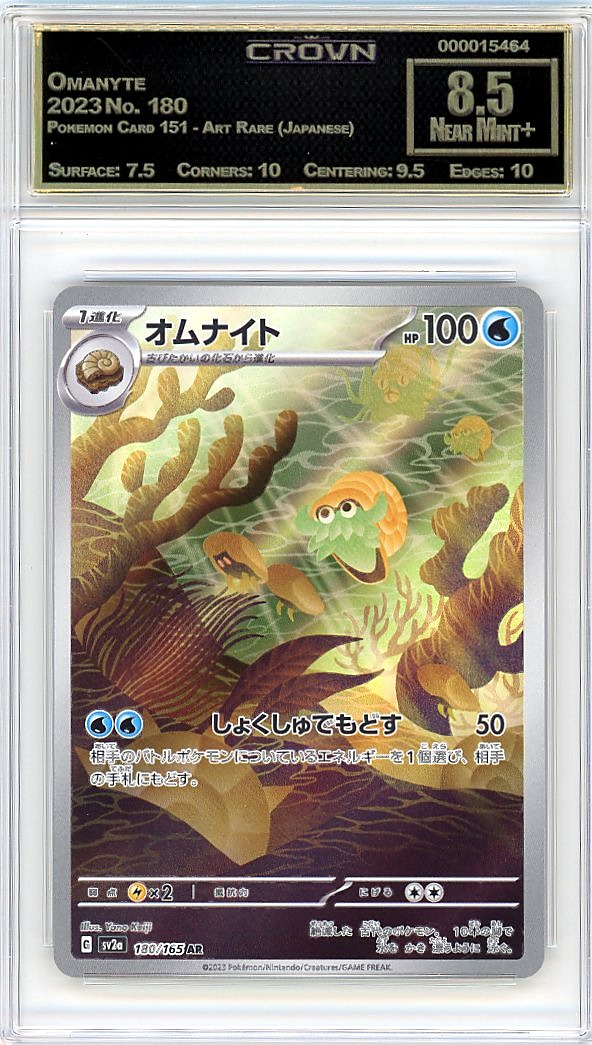 Omanyte