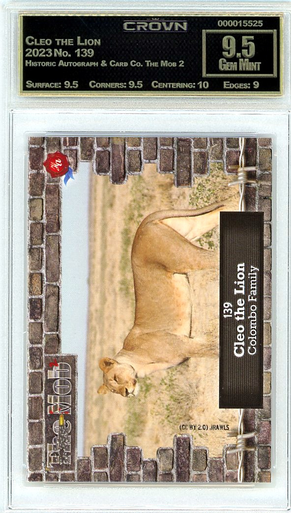 Cleo the Lion