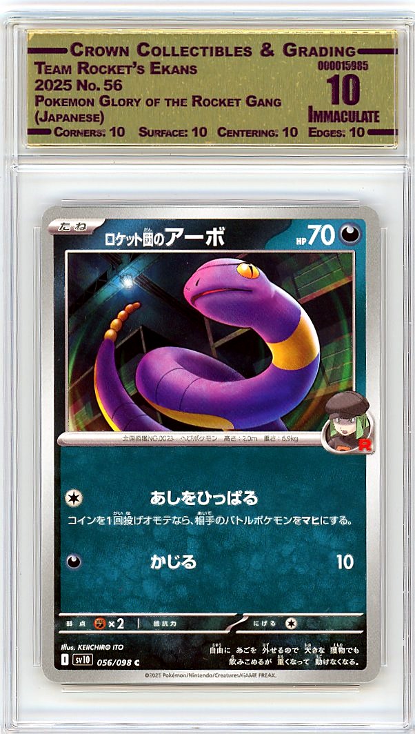 Team Rocket's Ekans