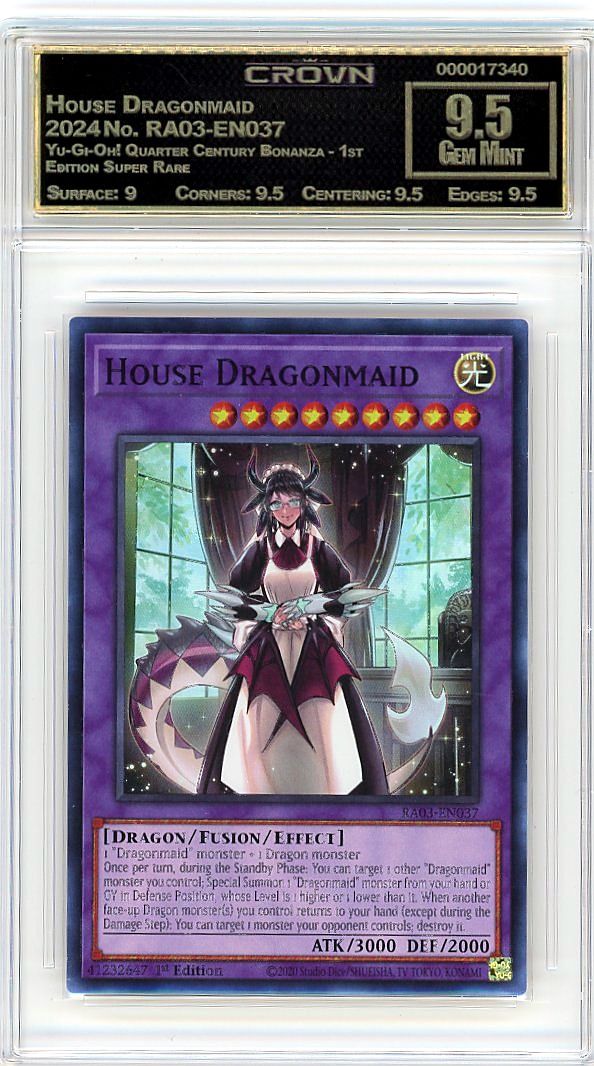 House Dragonmaid