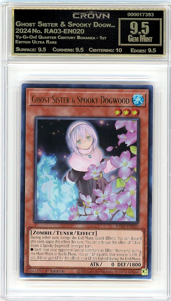Ghost Sister & Spooky Dogw..