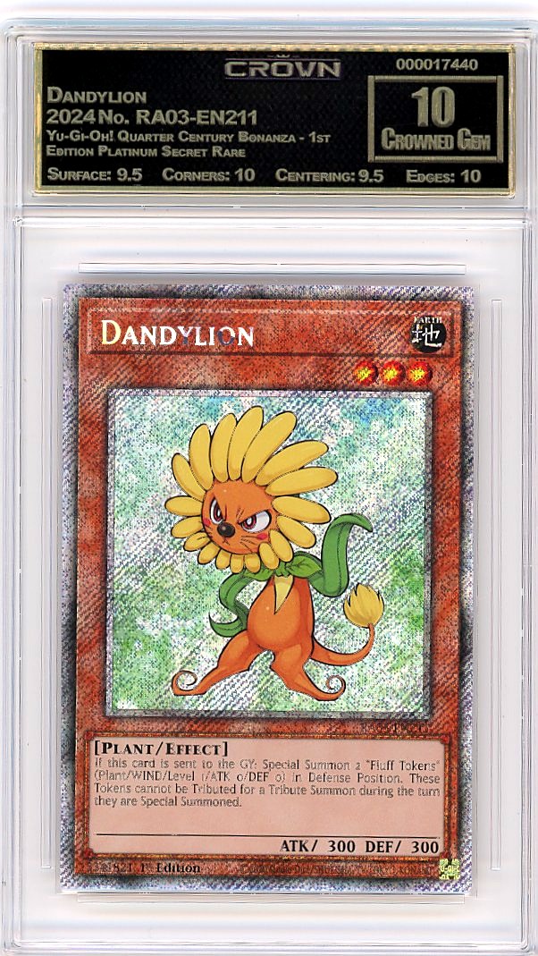 Dandylion