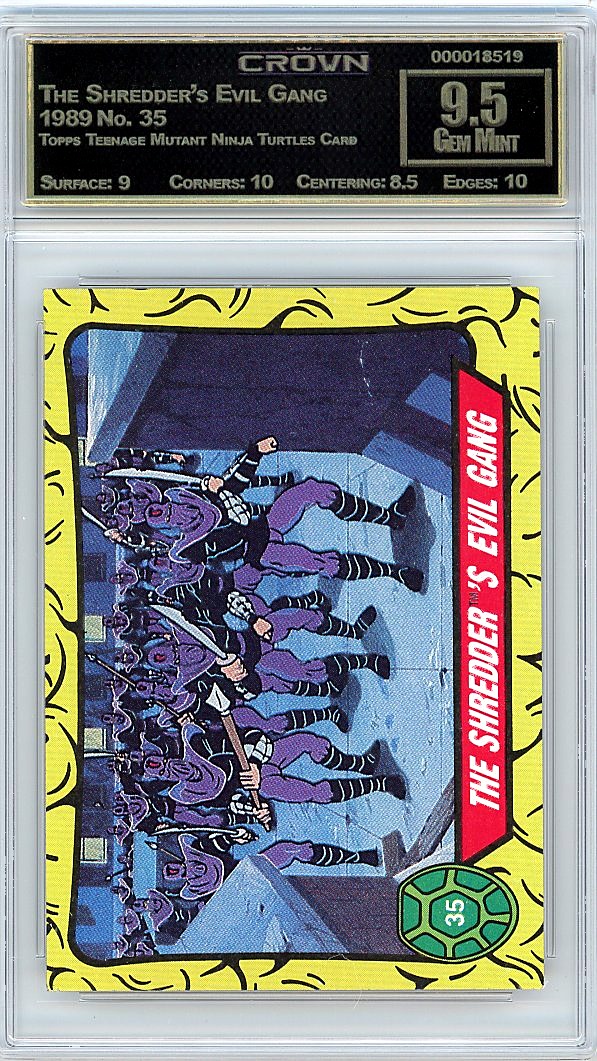 The Shredder's Evil Gang