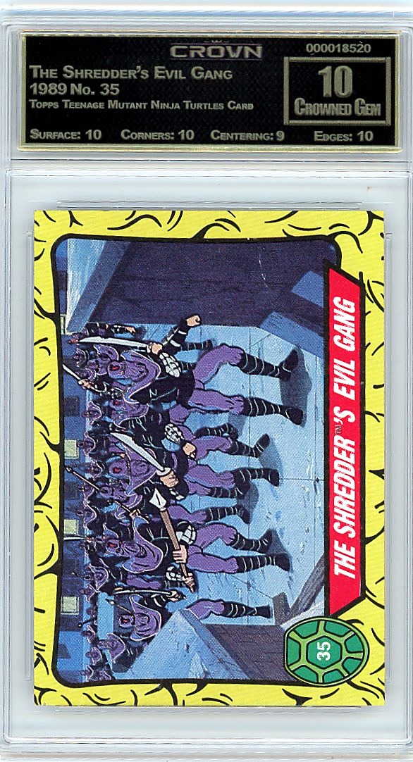 The Shredder's Evil Gang