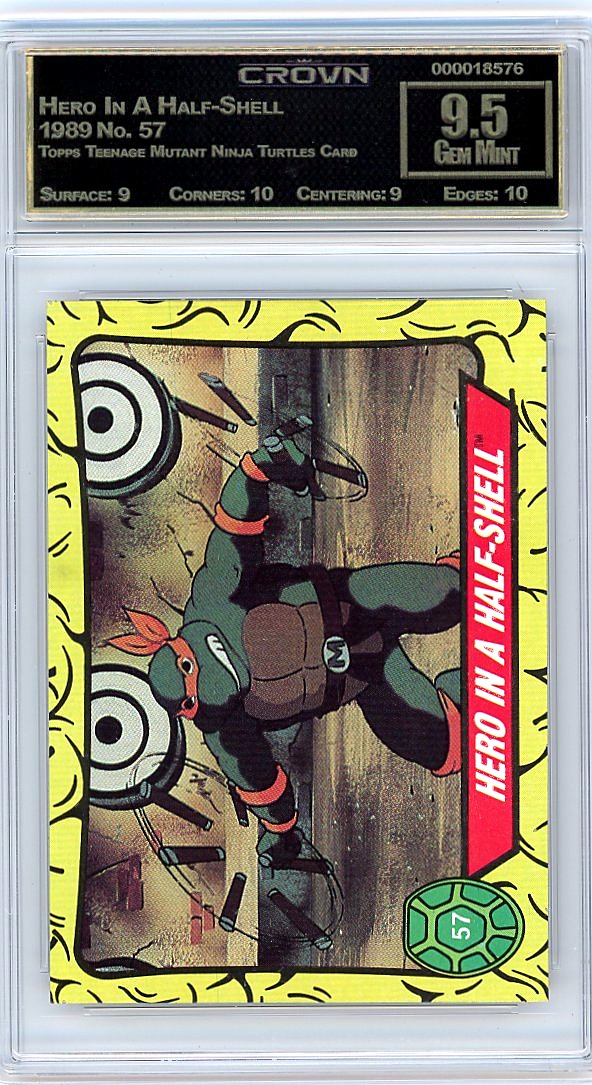 Hero In A Half-Shell