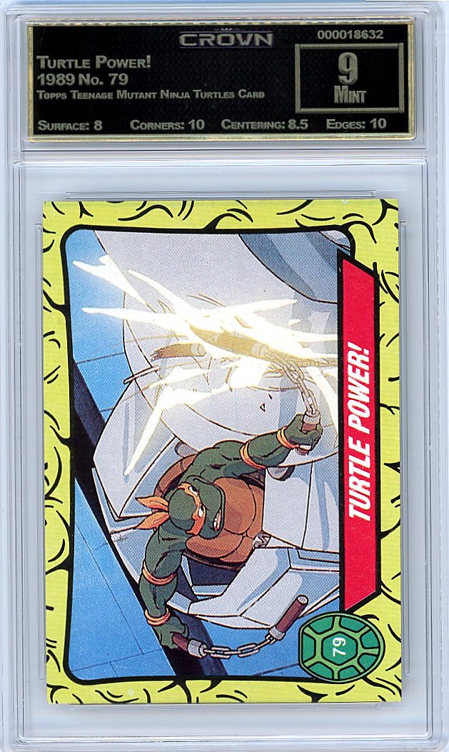 Turtle Power!