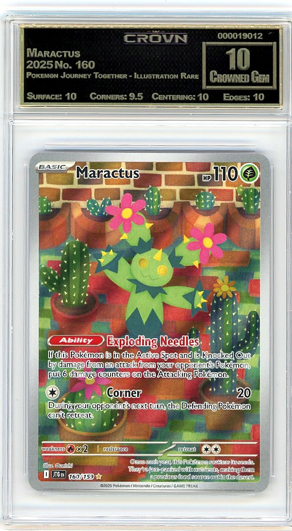 Maractus