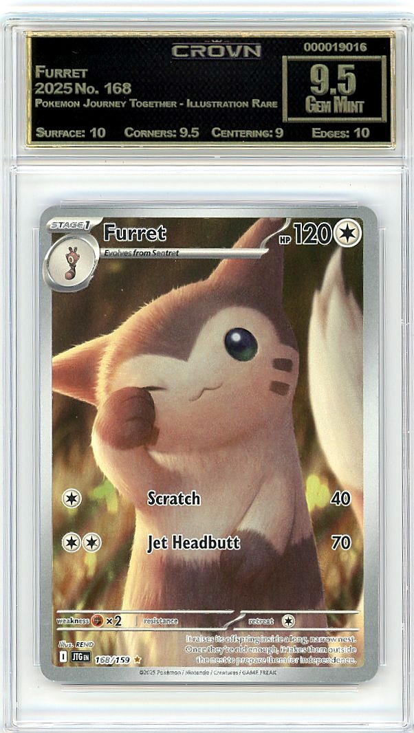 Furret