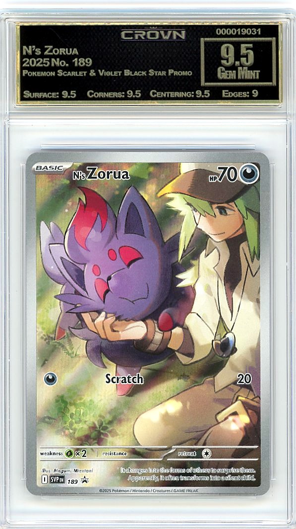 N's Zorua