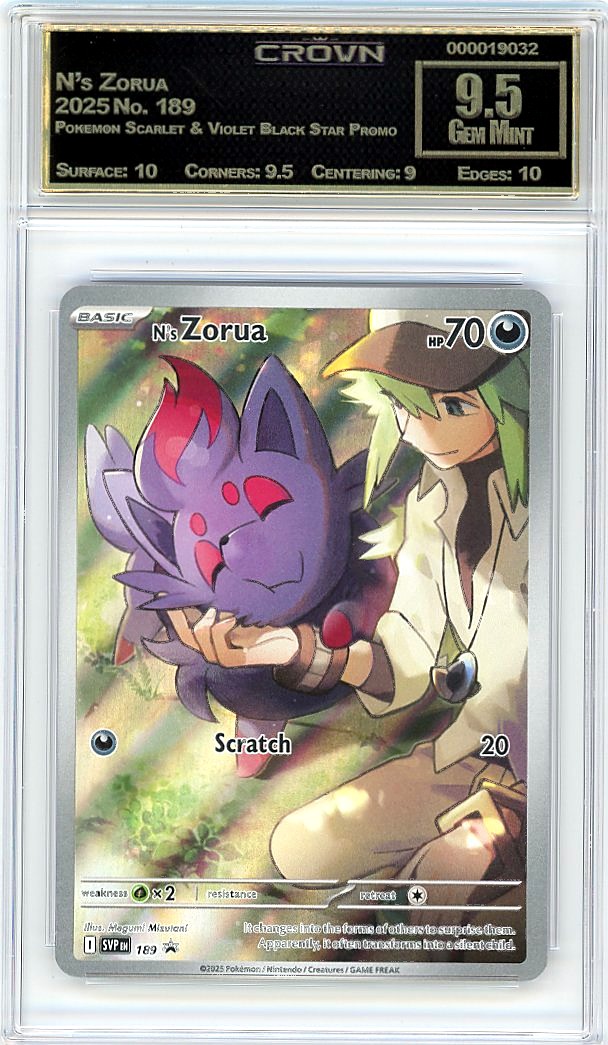 N's Zorua