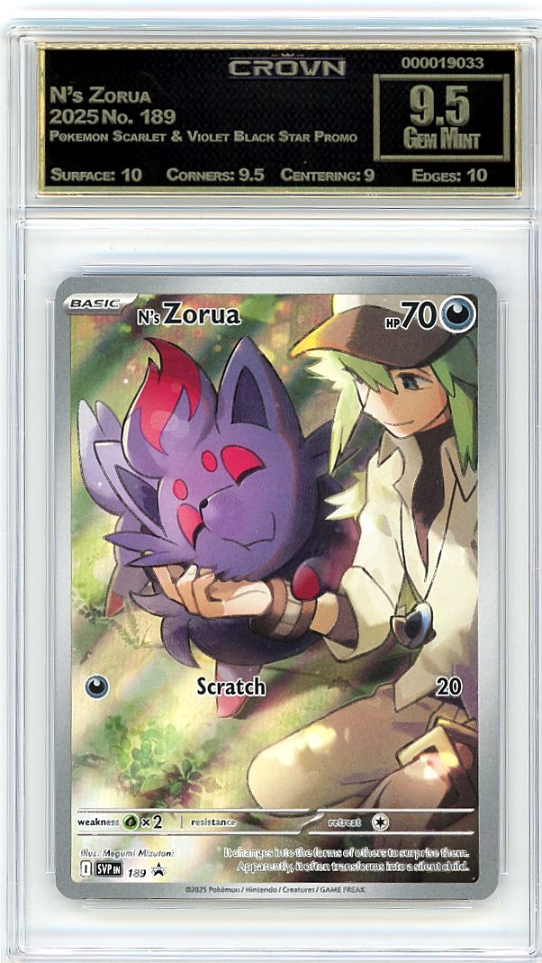 N's Zorua