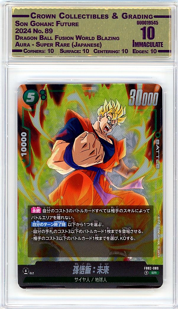 Son Gohan: Future