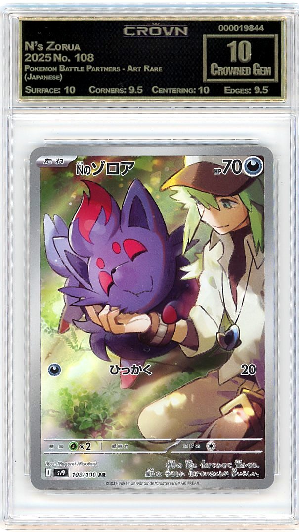 N's Zorua