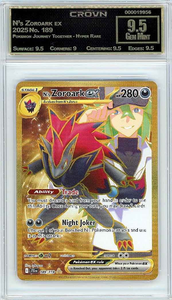 N's Zoroark ex
