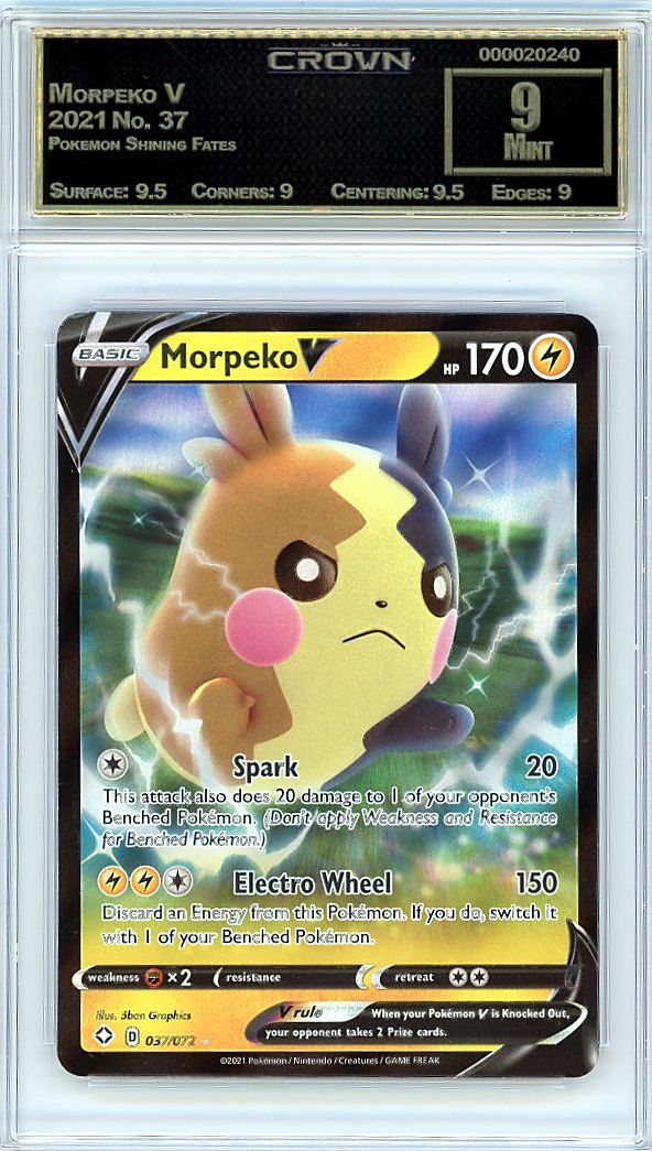 Morpeko V